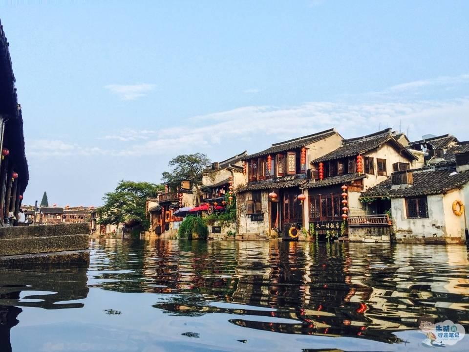 动物帮帮忙保卫家园